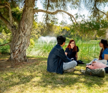 Students sitting by a calm looking lake