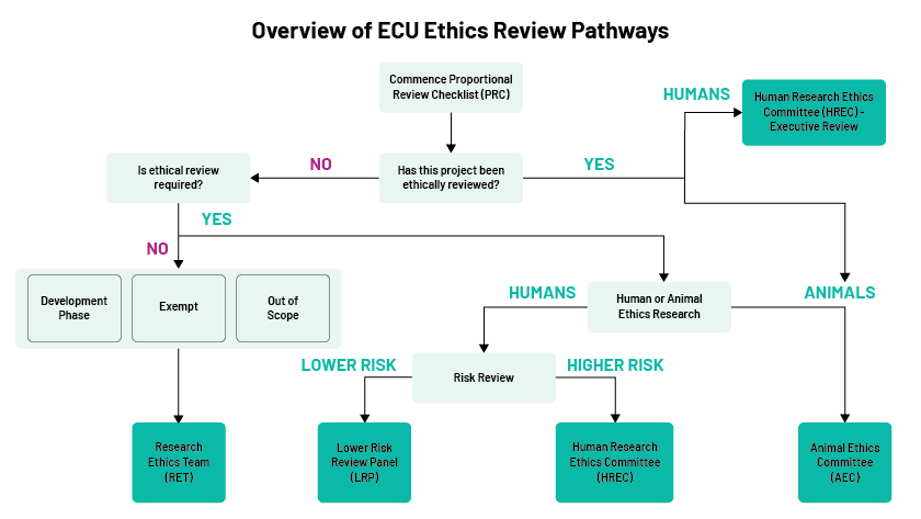 Overview of ECU Ethics Review Pathways