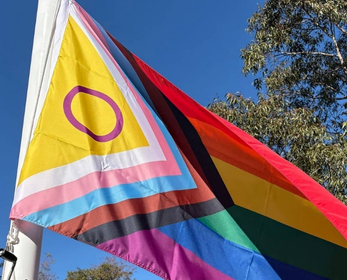 Progress Pride flagflying on a flagpole against a blue sky and trees.