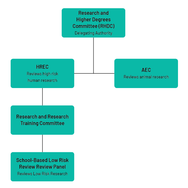 Responsibility for the review of human and animal ethics review at ECU.