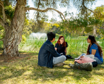 3 people sitting under a tree